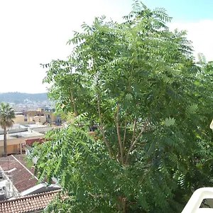 Signorile Iun S0575 Cagliari
